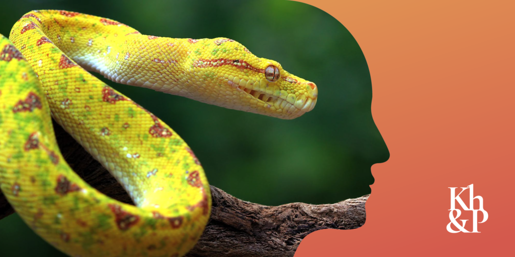 6 Ways to Get Your Client's Reptilian Brain Interested - Irina Khomutova, Khomutova & Partners